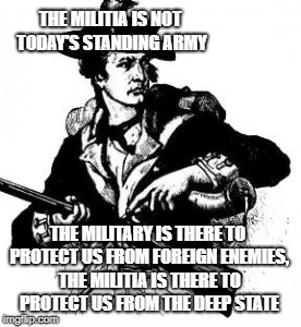 A differing opinion | THE MILITIA IS NOT TODAY'S STANDING ARMY; THE MILITARY IS THERE TO PROTECT US FROM FOREIGN ENEMIES, THE MILITIA IS THERE TO PROTECT US FROM THE DEEP STATE | image tagged in minuteman,second amendment | made w/ Imgflip meme maker