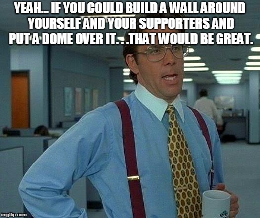 That Would Be Great Meme | YEAH... IF YOU COULD BUILD A WALL AROUND YOURSELF AND YOUR SUPPORTERS AND PUT A DOME OVER IT. . .THAT WOULD BE GREAT. | image tagged in memes,that would be great | made w/ Imgflip meme maker
