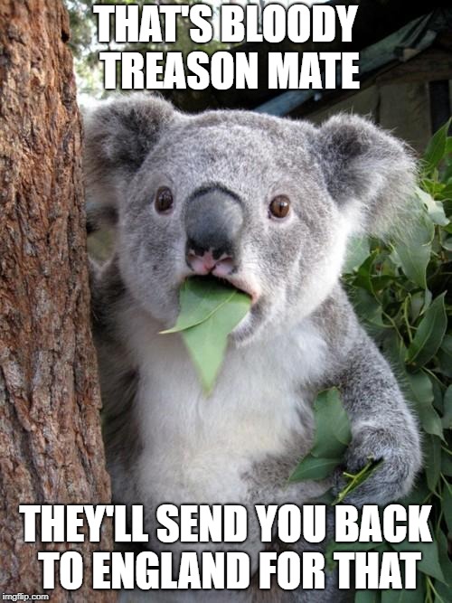 Surprised Koala Meme | THAT'S BLOODY TREASON MATE THEY'LL SEND YOU BACK TO ENGLAND FOR THAT | image tagged in memes,surprised koala | made w/ Imgflip meme maker
