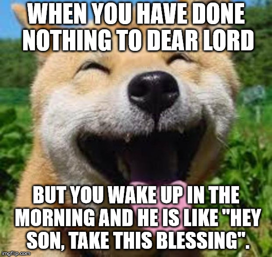Happy Doge | WHEN YOU HAVE DONE NOTHING TO DEAR LORD; BUT YOU WAKE UP IN THE MORNING AND HE IS LIKE "HEY SON, TAKE THIS BLESSING". | image tagged in happy doge | made w/ Imgflip meme maker