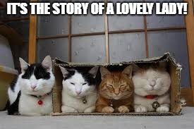 The Brady Bunch!
 | IT'S THE STORY OF A LOVELY LADY! | image tagged in funny cat,brady bunch,funny brady bunch cats | made w/ Imgflip meme maker