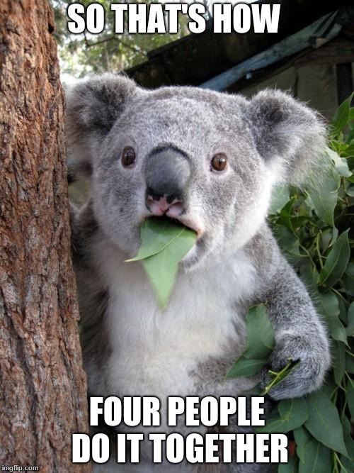 Surprised Koala | SO THAT'S HOW; FOUR PEOPLE DO IT TOGETHER | image tagged in memes,surprised koala | made w/ Imgflip meme maker