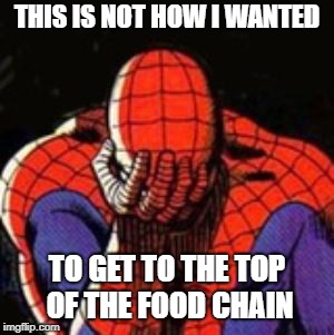 THIS IS NOT HOW I WANTED TO GET TO THE TOP OF THE FOOD CHAIN | image tagged in memes,sad spiderman,spiderman | made w/ Imgflip meme maker