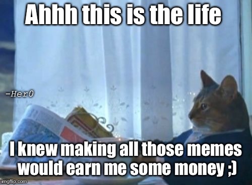 I Should Buy A Boat Cat | Ahhh this is the life; -Her0; I knew making all those memes would earn me some money ;) | image tagged in memes,i should buy a boat cat | made w/ Imgflip meme maker