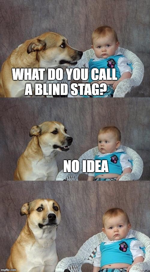 Dad Joke Dog Meme | WHAT DO YOU CALL A BLIND STAG? NO IDEA | image tagged in memes,dad joke dog | made w/ Imgflip meme maker