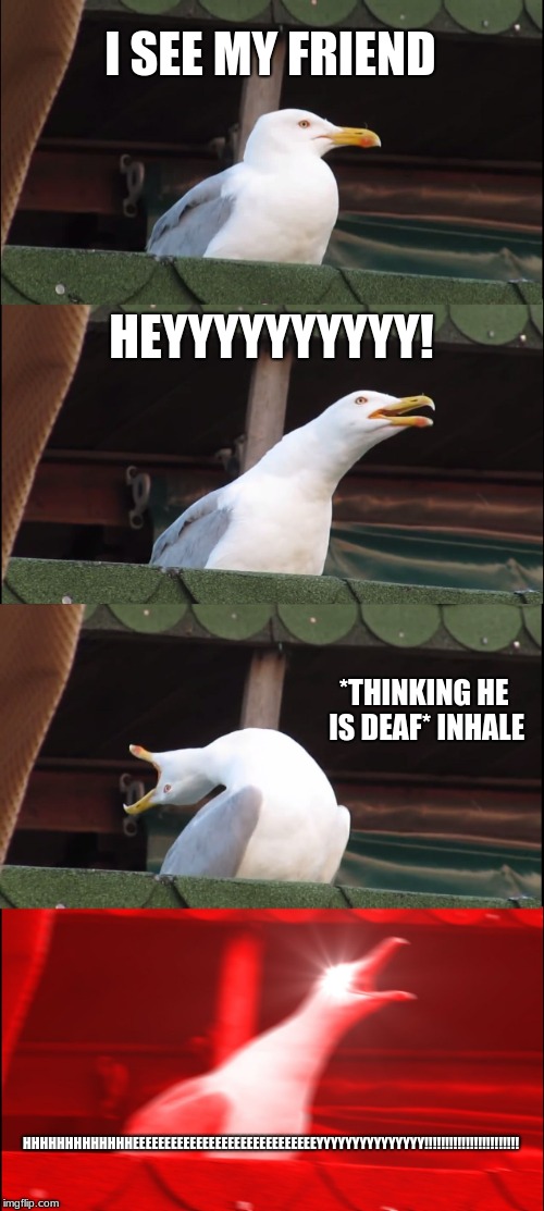 Inhaling Seagull Meme | I SEE MY FRIEND; HEYYYYYYYYYY! *THINKING HE IS DEAF* INHALE; HHHHHHHHHHHHHEEEEEEEEEEEEEEEEEEEEEEEEEEEEEYYYYYYYYYYYYYYY!!!!!!!!!!!!!!!!!!!!!!! | image tagged in memes,inhaling seagull | made w/ Imgflip meme maker