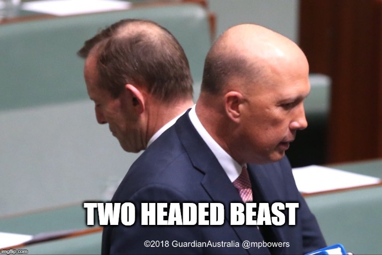 Two Headed Monster | TWO HEADED BEAST | image tagged in two headed monster | made w/ Imgflip meme maker