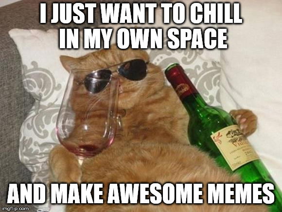 Funny Cat Birthday | I JUST WANT TO CHILL IN MY OWN SPACE AND MAKE AWESOME MEMES | image tagged in funny cat birthday | made w/ Imgflip meme maker