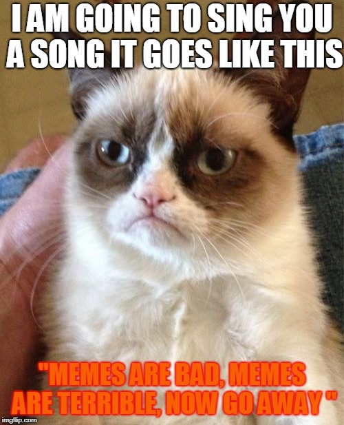 Grumpy Cat | I AM GOING TO SING YOU A SONG IT GOES LIKE THIS; "MEMES ARE BAD, MEMES ARE TERRIBLE, NOW GO AWAY " | image tagged in memes,grumpy cat | made w/ Imgflip meme maker