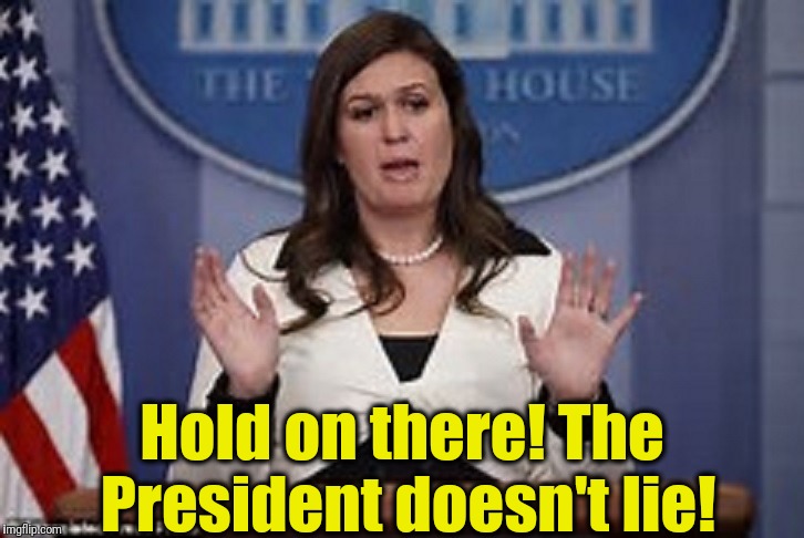 sarah huckabee sanders  | Hold on there! The President doesn't lie! | image tagged in sarah huckabee sanders | made w/ Imgflip meme maker