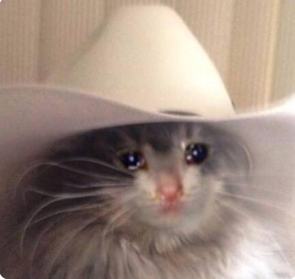 Sad cowboy cat Blank Meme Template