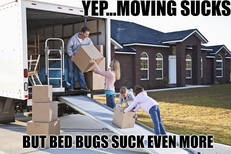 Bed Bugs Suck More than Moving | YEP...MOVING SUCKS; BUT BED BUGS SUCK EVEN MORE | image tagged in moving sucks,bed bugs,packing,moving,truck | made w/ Imgflip meme maker