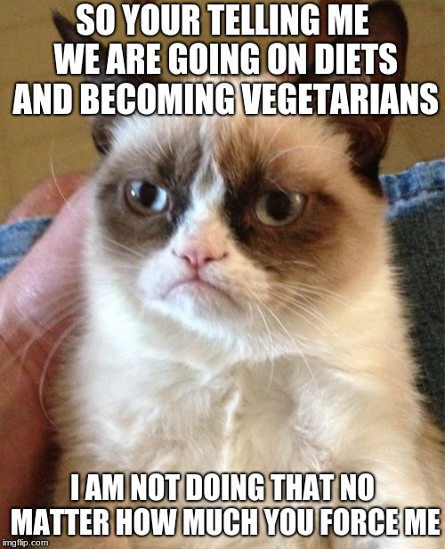 Grumpy Cat | SO YOUR TELLING ME WE ARE GOING ON DIETS AND BECOMING VEGETARIANS; I AM NOT DOING THAT NO MATTER HOW MUCH YOU FORCE ME | image tagged in memes,grumpy cat | made w/ Imgflip meme maker