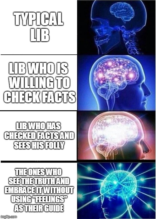 Expanding Brain Meme | TYPICAL LIB; LIB WHO IS WILLING TO CHECK FACTS; LIB WHO HAS CHECKED FACTS AND SEES HIS FOLLY; THE ONES WHO SEE THE TRUTH AND EMBRACE IT WITHOUT USING "FEELINGS" AS THEIR GUIDE | image tagged in memes,expanding brain | made w/ Imgflip meme maker