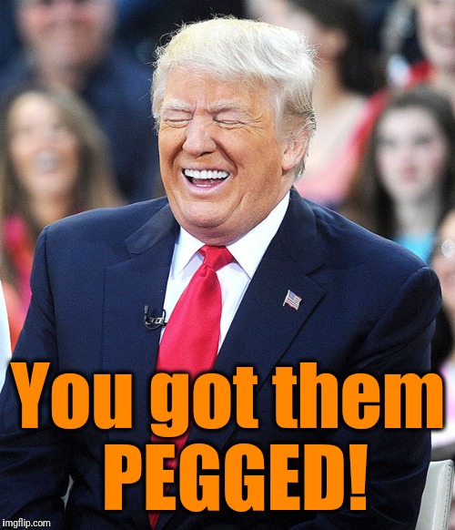 trump laughing | You got them PEGGED! | image tagged in trump laughing | made w/ Imgflip meme maker