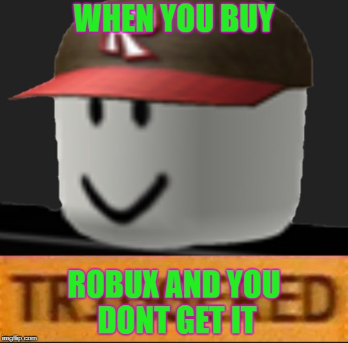 Roblox Triggered | WHEN YOU BUY; ROBUX AND YOU DONT GET IT | image tagged in roblox triggered | made w/ Imgflip meme maker
