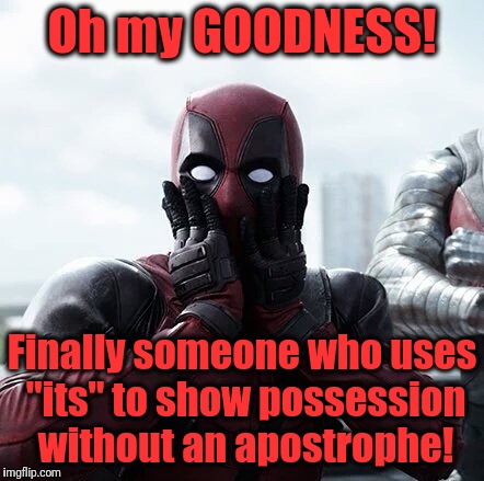 Deadpool Surprised Meme | Oh my GOODNESS! Finally someone who uses "its" to show possession without an apostrophe! | image tagged in memes,deadpool surprised | made w/ Imgflip meme maker