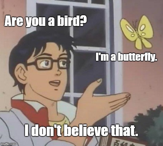 Is This A Pigeon | Are you a bird? I'm a butterfly. I don't believe that. | image tagged in memes,is this a pigeon | made w/ Imgflip meme maker