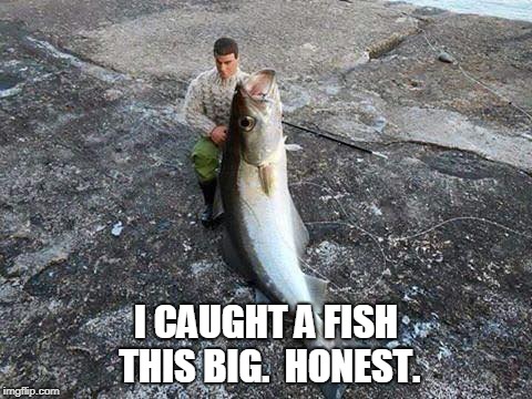 G.I. Jonah | I CAUGHT A FISH THIS BIG.  HONEST. | image tagged in fish | made w/ Imgflip meme maker