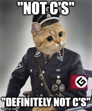 Grammar Nazi Cat | "NOT C'S" "DEFINITELY NOT C'S" | image tagged in grammar nazi cat | made w/ Imgflip meme maker