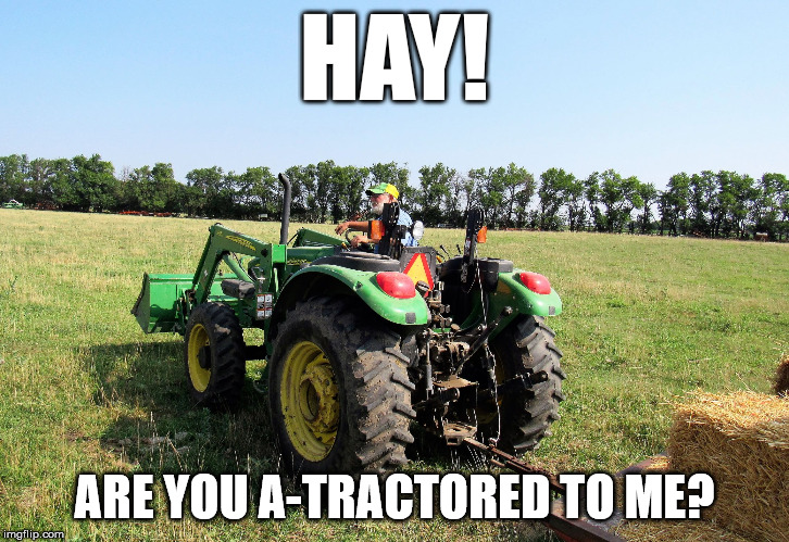 Farmer and hay rack | HAY! ARE YOU A-TRACTORED TO ME? | image tagged in farmer and hay rack | made w/ Imgflip meme maker
