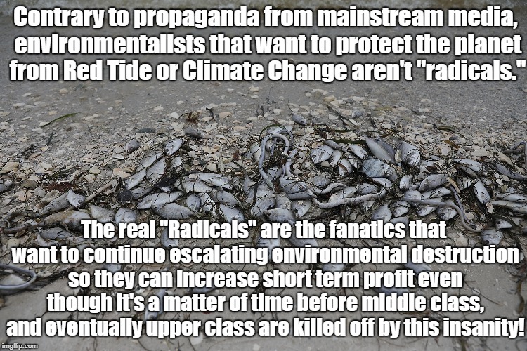 Oil Companies Are Real "Radicals" | Contrary to propaganda from mainstream media, environmentalists that want to protect the planet from Red Tide or Climate Change aren't "radicals."; The real "Radicals" are the fanatics that want to continue escalating environmental destruction so they can increase short term profit even though it's a matter of time before middle class, and eventually upper class are killed off by this insanity! | image tagged in big oil,politics,propaganda,environment,climate change | made w/ Imgflip meme maker