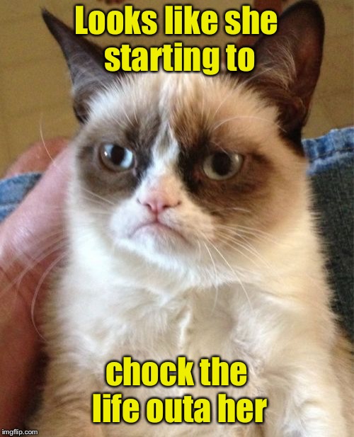 Grumpy Cat Meme | Looks like she starting to chock the life outa her | image tagged in memes,grumpy cat | made w/ Imgflip meme maker