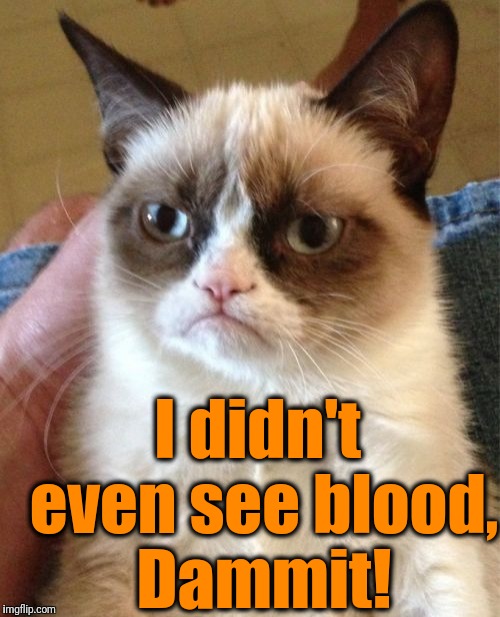 Grumpy Cat Meme | I didn't even see blood, Dammit! | image tagged in memes,grumpy cat | made w/ Imgflip meme maker
