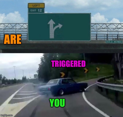 Left Exit 12 Off Ramp Meme | ARE TRIGGERED YOU | image tagged in memes,left exit 12 off ramp | made w/ Imgflip meme maker