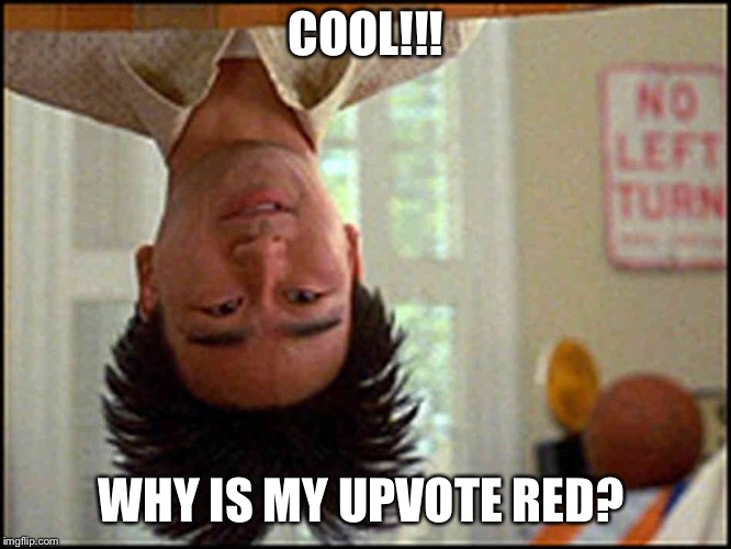 Long Duck Dong (upside down) | COOL!!! WHY IS MY UPVOTE RED? | image tagged in long duck dong upside down,meme,bad pun,upside-down,upvote,meanwhile on imgflip | made w/ Imgflip meme maker