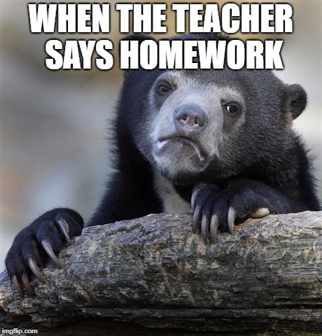 Confession Bear | WHEN THE TEACHER SAYS HOMEWORK | image tagged in memes,confession bear | made w/ Imgflip meme maker
