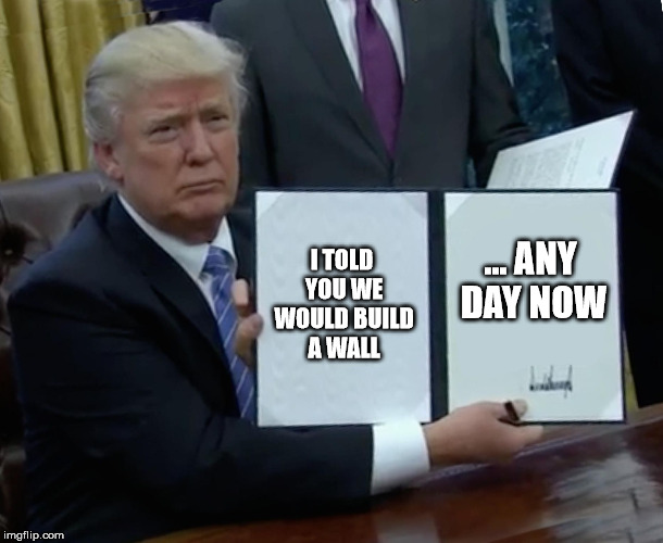 Trump Bill Signing | I TOLD YOU WE WOULD BUILD A WALL; ... ANY DAY NOW | image tagged in memes,trump bill signing | made w/ Imgflip meme maker