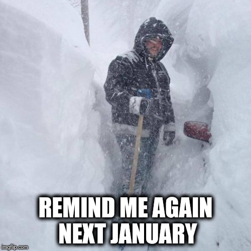 SNOW!!! | REMIND ME AGAIN NEXT JANUARY | image tagged in snow | made w/ Imgflip meme maker