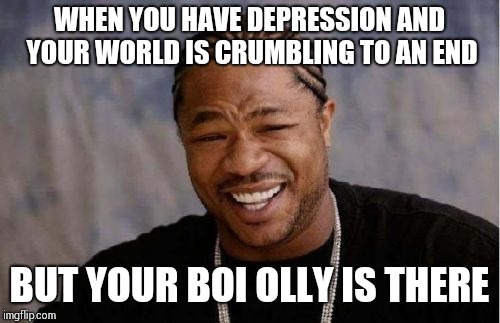 Yo Dawg Heard You | WHEN YOU HAVE DEPRESSION AND YOUR WORLD IS CRUMBLING TO AN END; BUT YOUR BOI OLLY IS THERE | image tagged in memes,yo dawg heard you | made w/ Imgflip meme maker