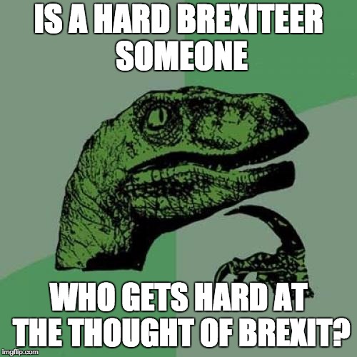Philosoraptor Meme | IS A HARD BREXITEER SOMEONE; WHO GETS HARD AT THE THOUGHT OF BREXIT? | image tagged in memes,philosoraptor | made w/ Imgflip meme maker