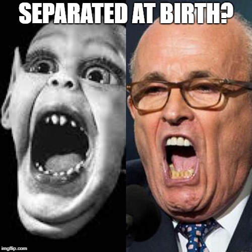 Giuliani / Bat Boy: Separated at Birth? | SEPARATED AT BIRTH? | image tagged in giuliani / bat boy  separated at birth,giuliani,rudy giuliani,bat boy,trump,donald trump | made w/ Imgflip meme maker