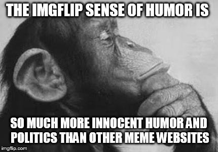 Imgflip is Great  | THE IMGFLIP SENSE OF HUMOR IS; SO MUCH MORE INNOCENT HUMOR AND POLITICS THAN OTHER MEME WEBSITES | image tagged in monkey rodin thinker,innocent,bullying,imgflip humor | made w/ Imgflip meme maker