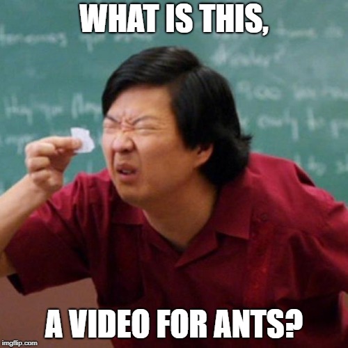 Senor Chang Paper  | WHAT IS THIS, A VIDEO FOR ANTS? | image tagged in senor chang paper | made w/ Imgflip meme maker