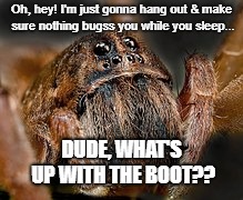 When you realize your roommate is a serial killer | Oh, hey! I'm just gonna hang out & make sure nothing bugss you while you sleep... DUDE, WHAT'S UP WITH THE BOOT?? | image tagged in spider funny memes | made w/ Imgflip meme maker