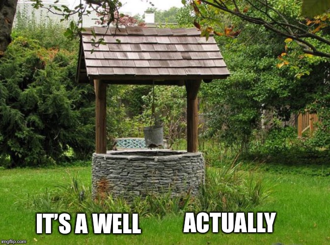 ACTUALLY; IT’S A WELL | image tagged in well actually | made w/ Imgflip meme maker