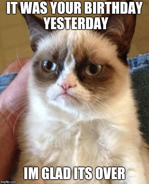 Grumpy Cat | IT WAS YOUR BIRTHDAY YESTERDAY; IM GLAD ITS OVER | image tagged in memes,grumpy cat | made w/ Imgflip meme maker