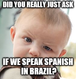 Skeptical Baby | DID YOU REALLY JUST ASK; IF WE SPEAK SPANISH IN BRAZIL? | image tagged in memes,skeptical baby | made w/ Imgflip meme maker
