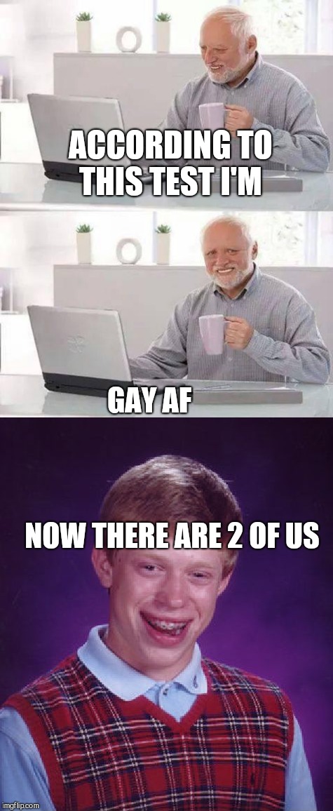 ACCORDING TO THIS TEST I'M; GAY AF                                



           






           NOW THERE ARE 2 OF US | image tagged in hide the pain harold | made w/ Imgflip meme maker