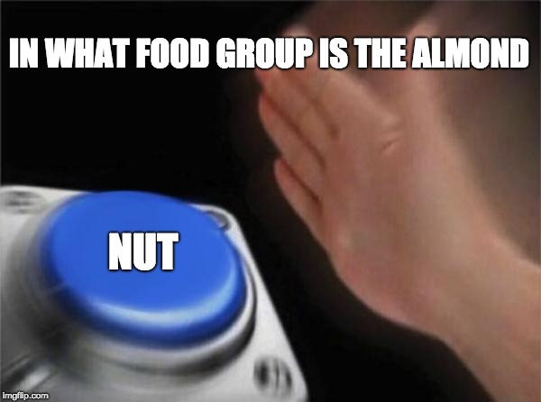 Blank Nut Button | IN WHAT FOOD GROUP IS THE ALMOND; NUT | image tagged in memes,blank nut button | made w/ Imgflip meme maker