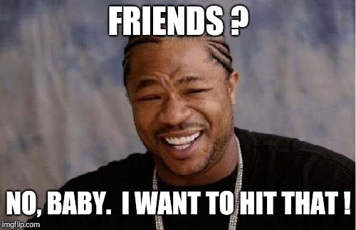 Yo Dawg Heard You Meme | FRIENDS ? NO, BABY.  I WANT TO HIT THAT ! | image tagged in memes,yo dawg heard you | made w/ Imgflip meme maker