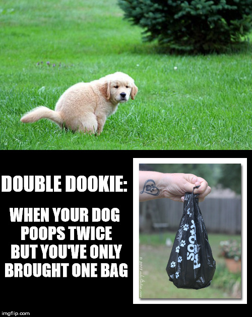 Double Dookie | DOUBLE DOOKIE:; WHEN YOUR DOG POOPS TWICE BUT YOU'VE ONLY BROUGHT ONE BAG | image tagged in dog poop,poopie bag,walking the dog,poopy,doh | made w/ Imgflip meme maker
