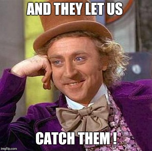 Creepy Condescending Wonka Meme | AND THEY LET US CATCH THEM ! | image tagged in memes,creepy condescending wonka | made w/ Imgflip meme maker