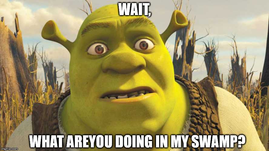 WAIT, WHAT AREYOU DOING IN MY SWAMP? | image tagged in shrek | made w/ Imgflip meme maker