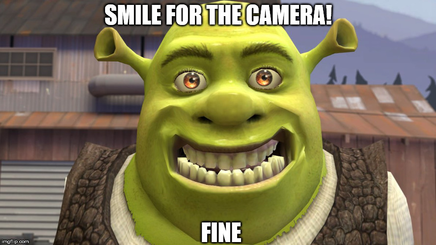 SMILE FOR THE CAMERA! FINE | image tagged in shrek | made w/ Imgflip meme maker
