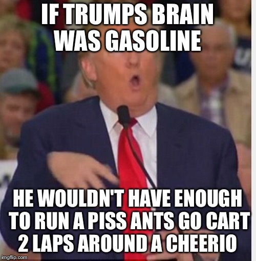 Donald Trump tho | IF TRUMPS BRAIN WAS GASOLINE; HE WOULDN'T HAVE ENOUGH TO RUN A PISS ANTS GO CART 2 LAPS AROUND A CHEERIO | image tagged in donald trump tho | made w/ Imgflip meme maker